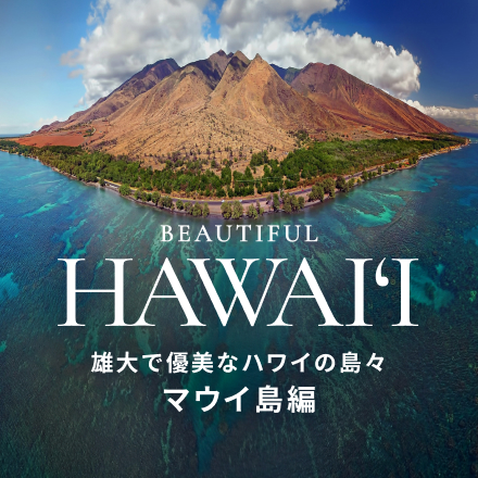 【Beautiful Hawai‘i】マウイ島の旅