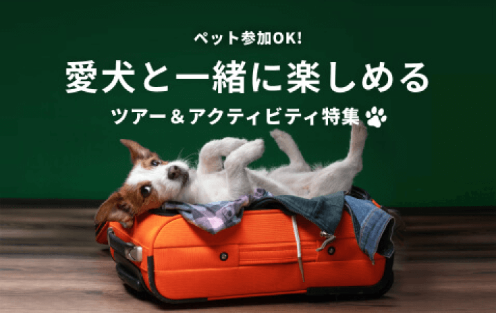 現地オプショナルツアー予約 観光旅行 Veltra ベルトラ