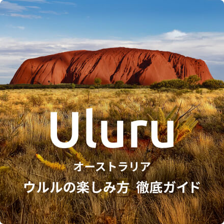 ウルルの楽しみ方 現地ツアー徹底ガイド