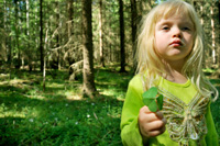 シャムロック（三位一体）