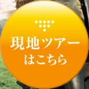 現地ツアーはこちら