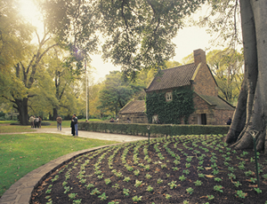 クックス・コテージ