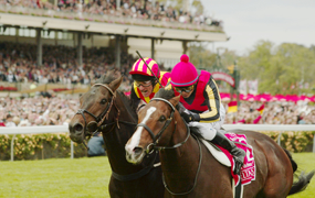 Mellbourne Cup Carnival