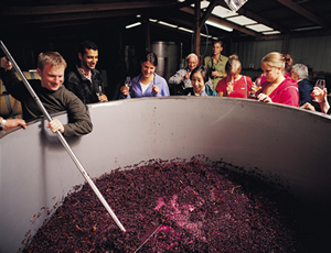 ダンデノン丘陵国立公園　&ヤラバレーワイナリー