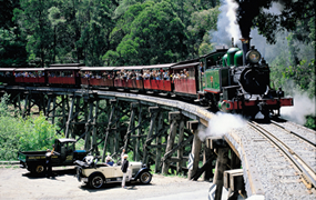 パッフィン・ビリー鉄道 (Puffing Billy Railway)