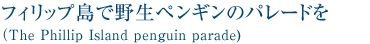 フィリップ島で野生のペンギンのパレードを