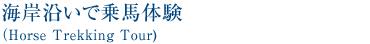海岸沿いで乗馬体験
