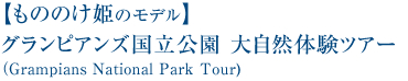 【もののけ姫のモデル】グランピアンズ国立公園 大自然体験ツアー