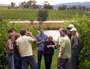美味ランチ付き! ヤラバレー・ワイナリー