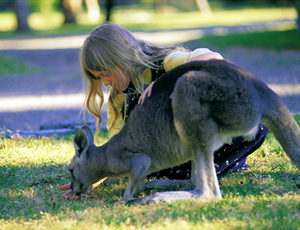 カンガルーと遊ぼう
