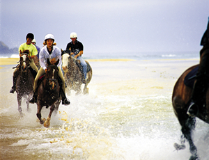 海岸沿いで乗馬体験