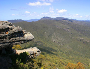 【もののけ姫のモデル】グランピアンズ国立公園 大自然体験ツアー