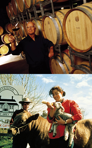 動物との出会い そして映画の世界へ