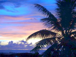 グアム・サイパン・他