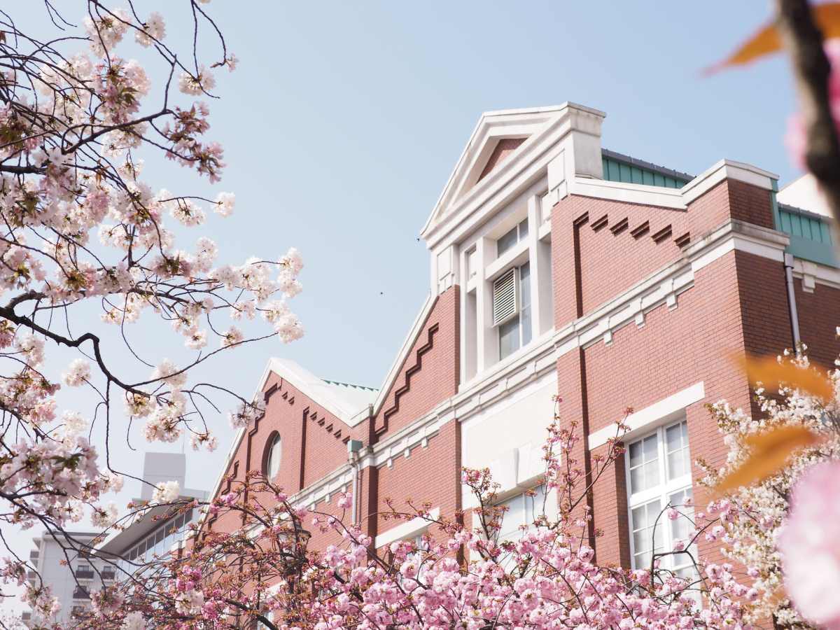 osaka mint bureau 2017 sakura cherry blossom japan