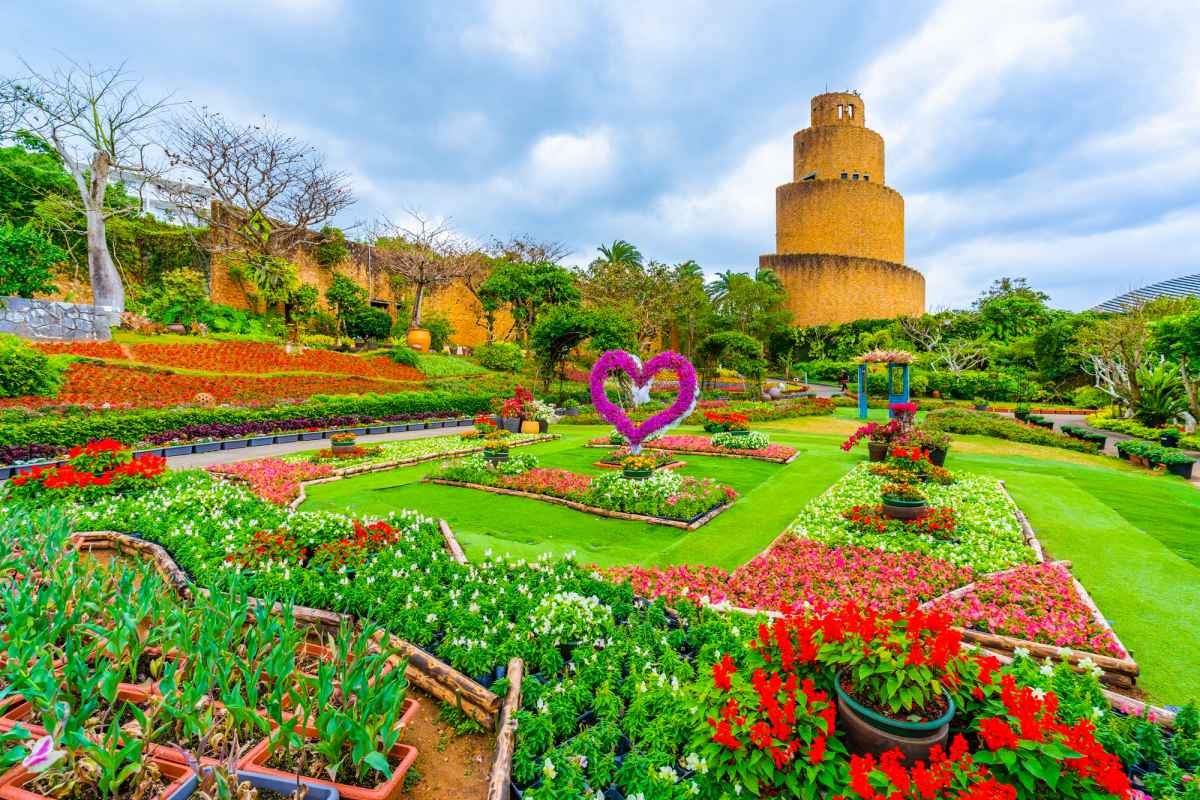 Tropical Dream Center