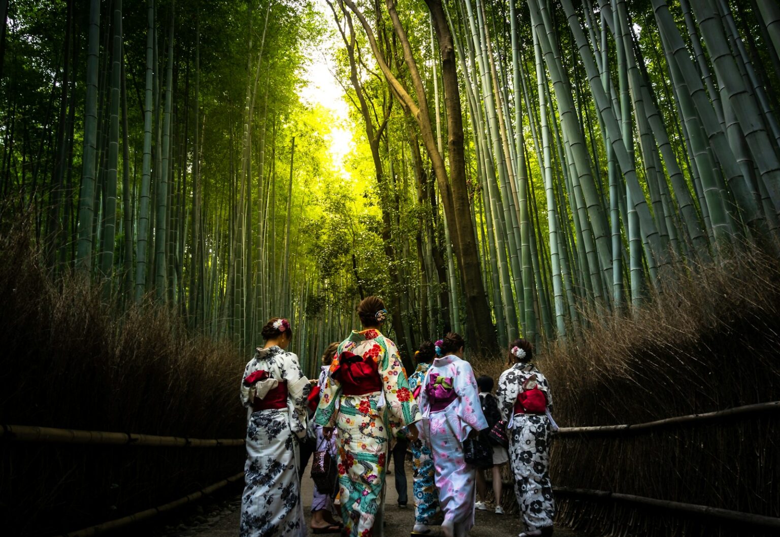 Kimono-clad women strolling Arashiyama Bamboo Forest
