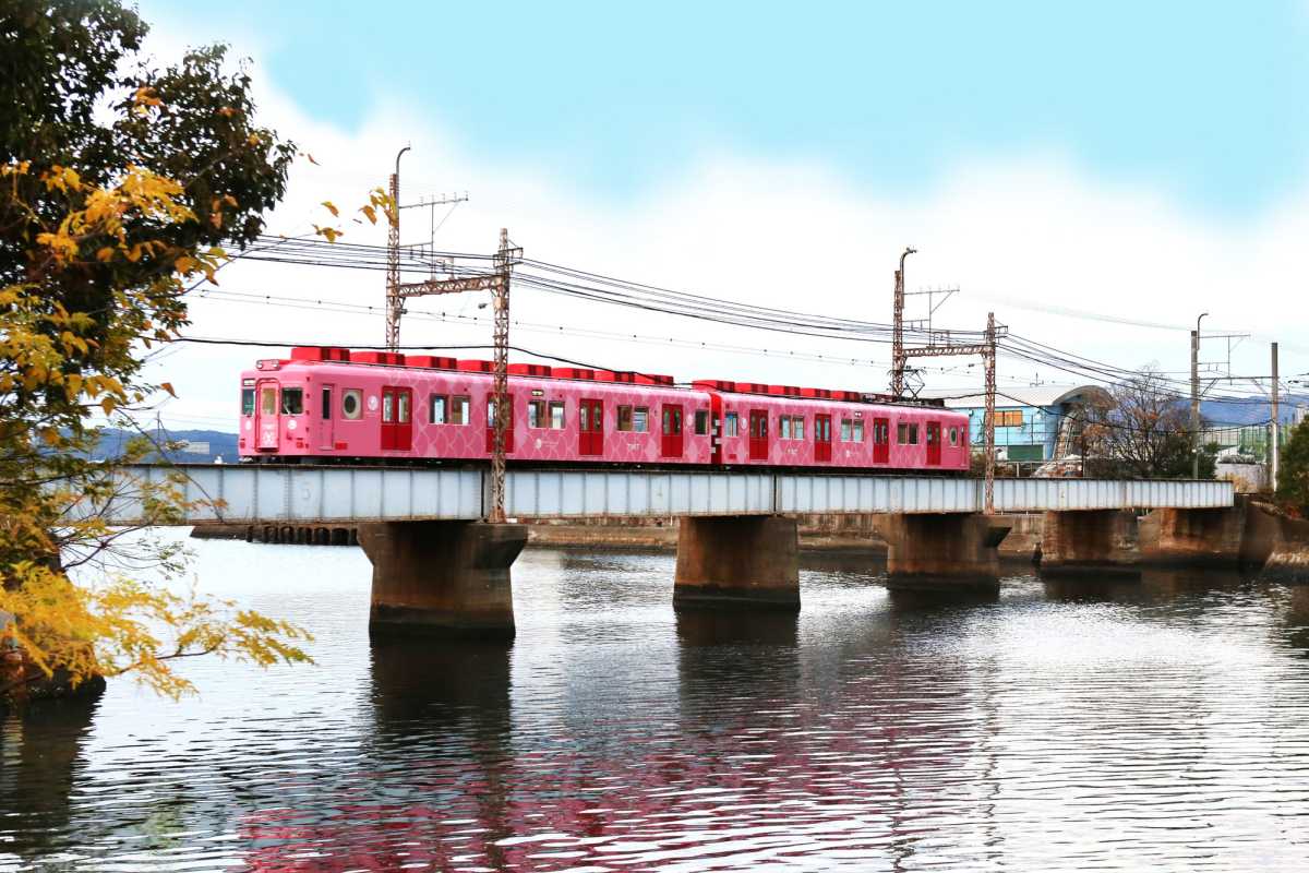 Nankai Railway Medetai Train