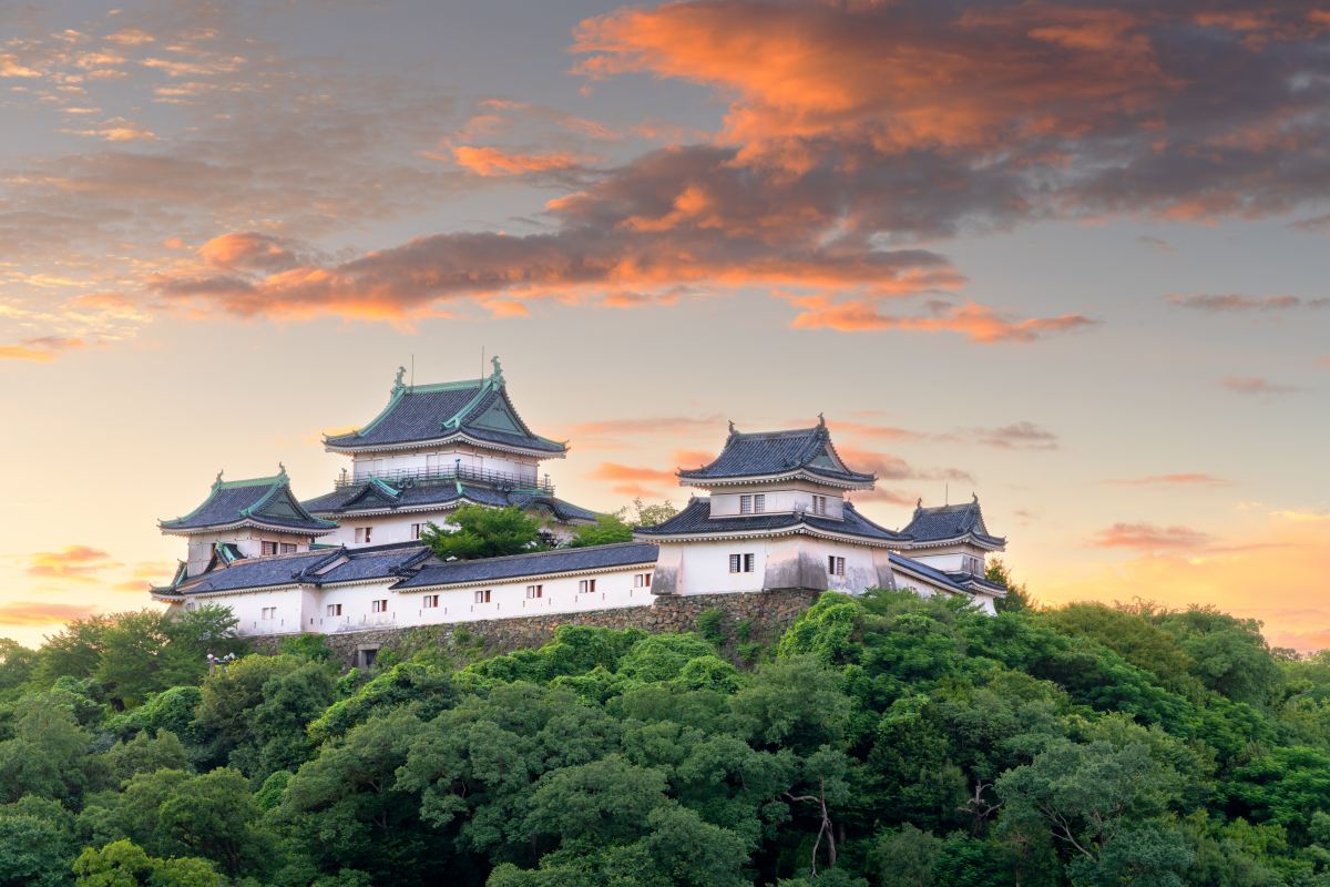 Wakayama, Japan  with the hilltop Wakayama Castle at dawn.