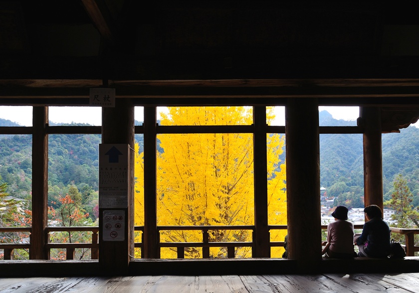 Hiroshima_Miyajima_Senjokaku_pixta_6275305_