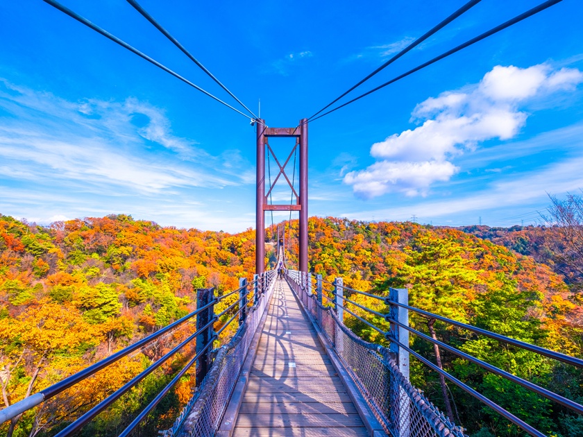 Japan_Hoshida Park & Hoshi-no-Buranko Star Swing Bridge_pixta_80751174_M
