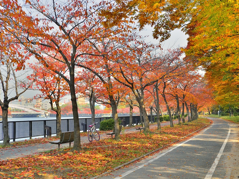 Japan_Kema Sakuranomiya Park_pixta_34806210_M