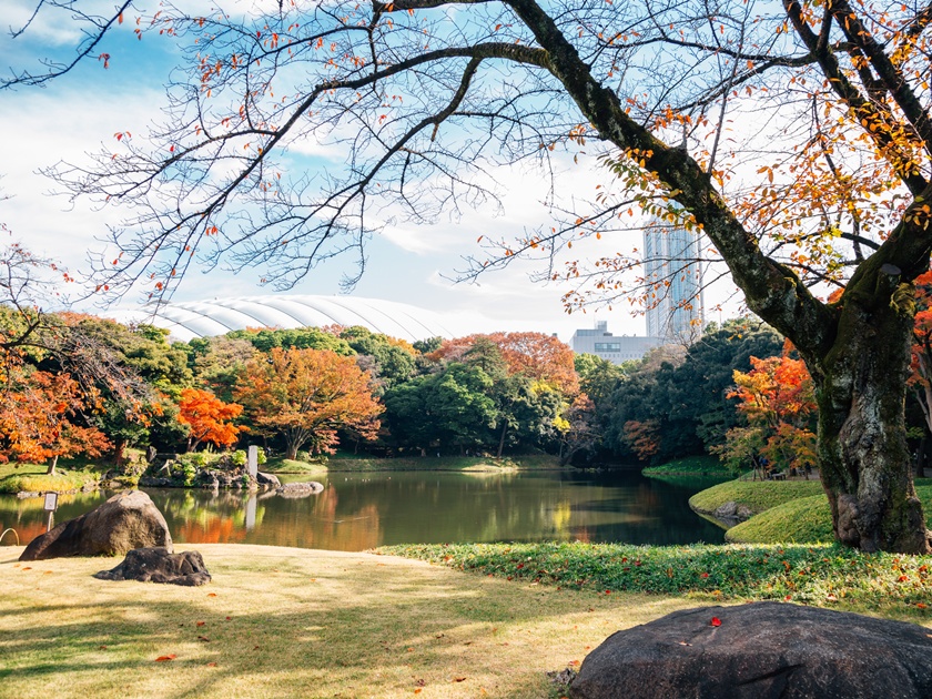 Japan_Koishikawa Korakuen_pixta_63697499_M