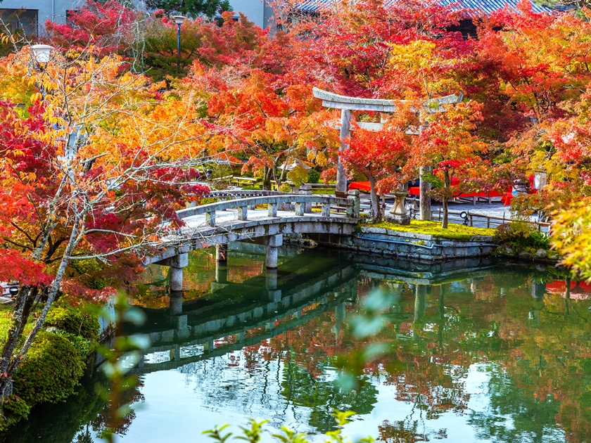 Japan_Kyoto_Eikando Temple_Autumn_shutterstock_1500286943
