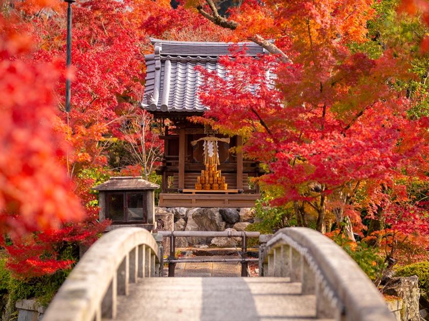 Japan_Kyoto_Eikando Temple_Autumn_shutterstock_1505377217