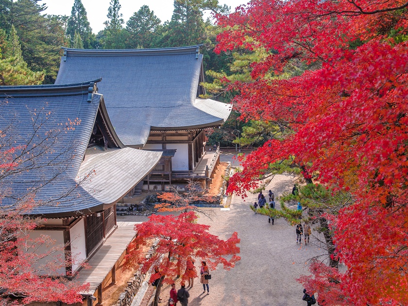 Japan_Kyoto_Jingo-ji Temple_Autumn_shutterstock_470349953