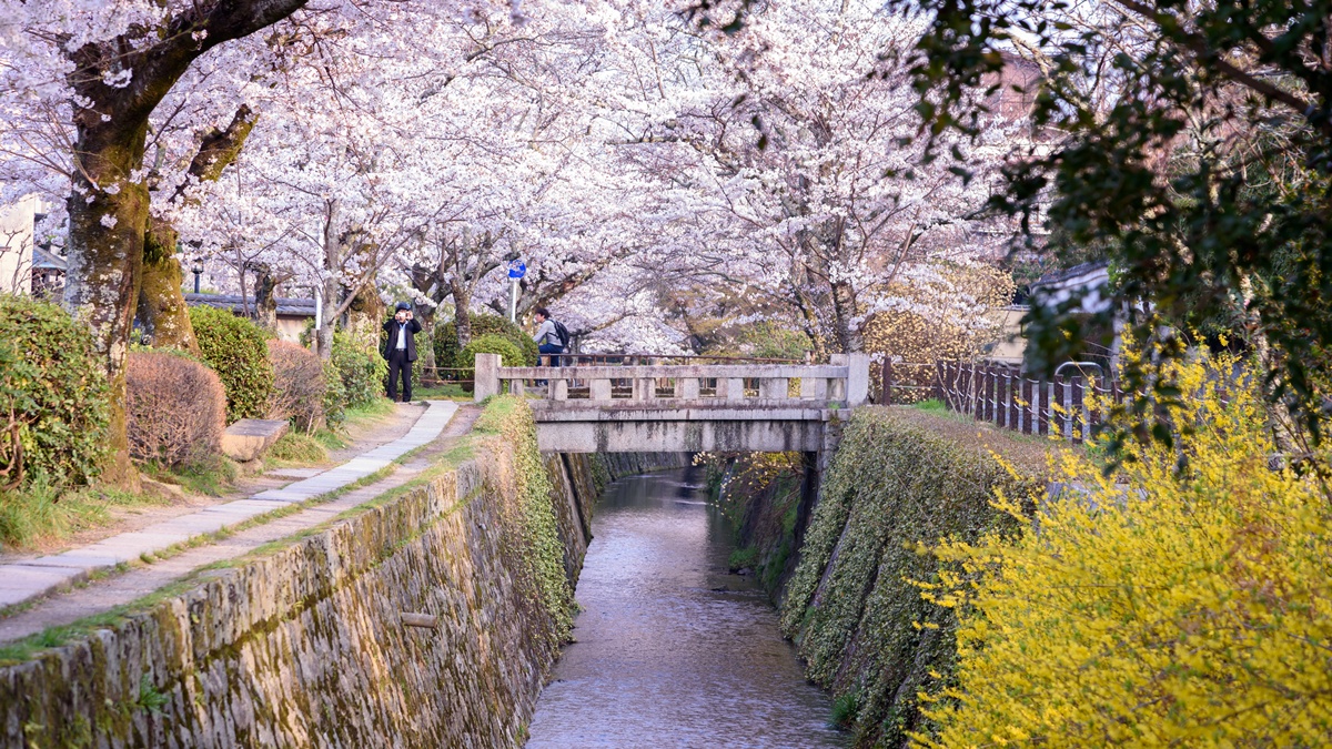 Japan_Kyoto_Philosopher's Path_shutterstock_1065054878 (1)