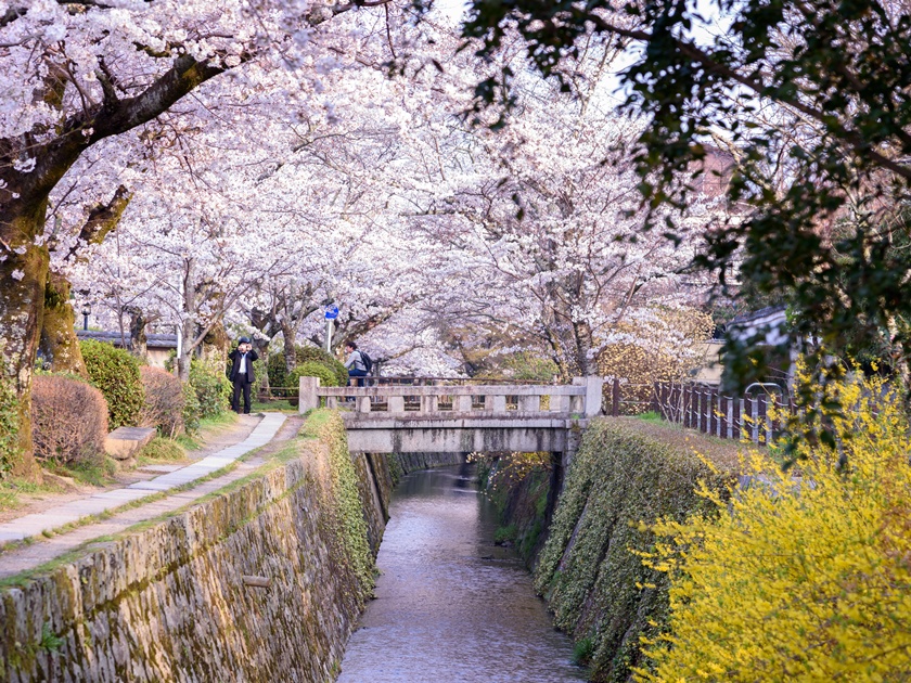 Japan_Kyoto_Philosopher's Path_shutterstock_1065054878