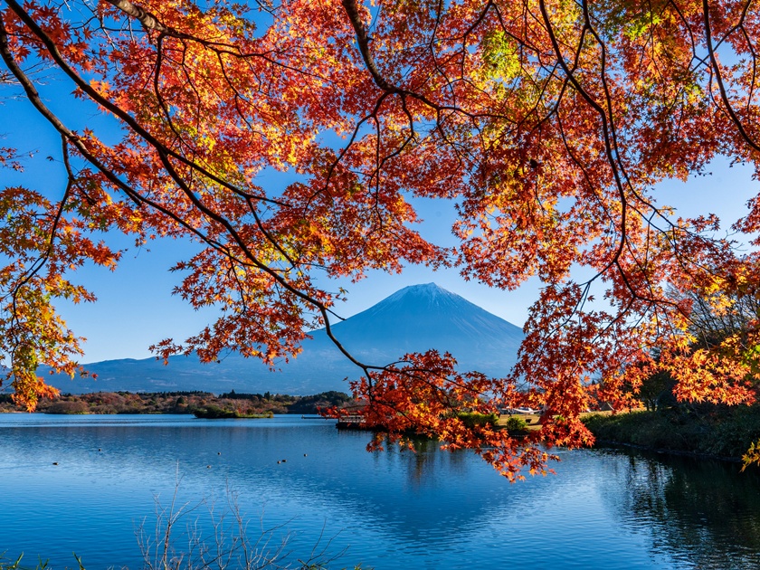 Japan_Lake Tanuki_pixta_93624659_M