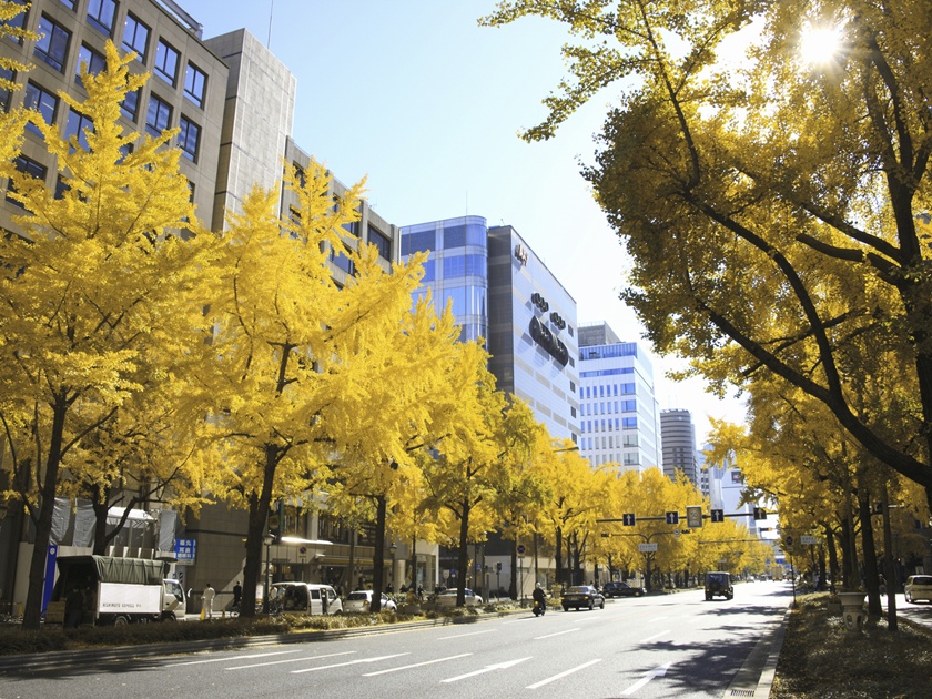 Japan_Midosuji _pixta_7454346_M