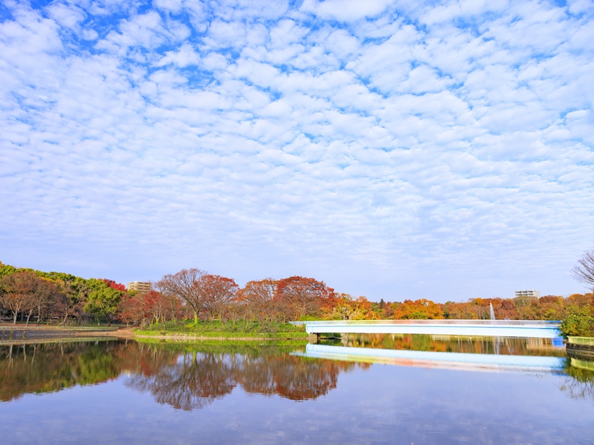 Japan_Nagai Botanical Garden_pixta_72425642_M