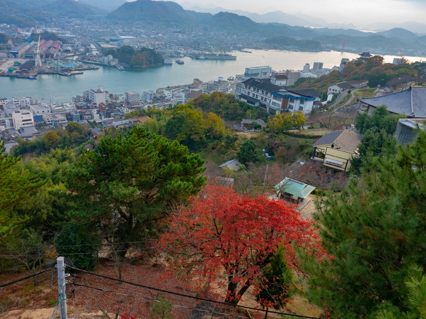 Japan_Senkoji Park_pixta_48190406_M