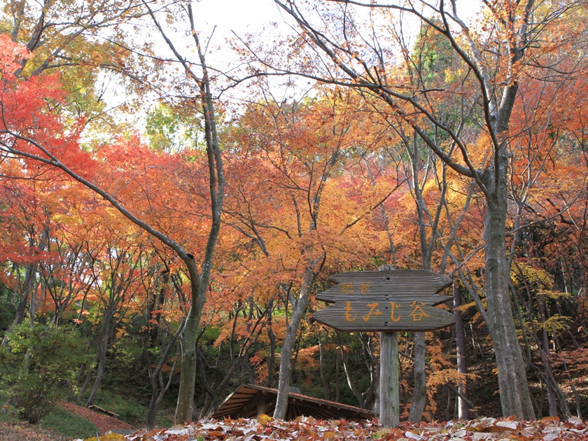 Japan_Settsukyo Park_pixta_11843707_M