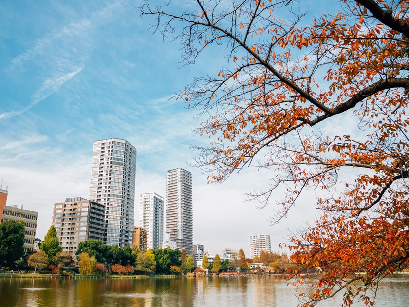 Ueno park Shinobazu pond and modern buildings at autumn in Tokyo, Japan