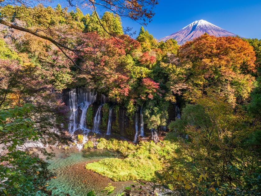 Shizuoka_Fuji Hakone Izu National Park_Shiraito no Taki_waterfall_pixta_83930514_L