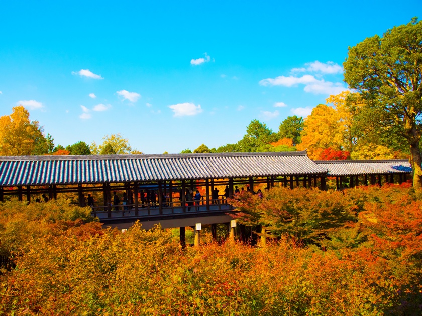  Tōfuku-ji & Tsutenkyō Bridge