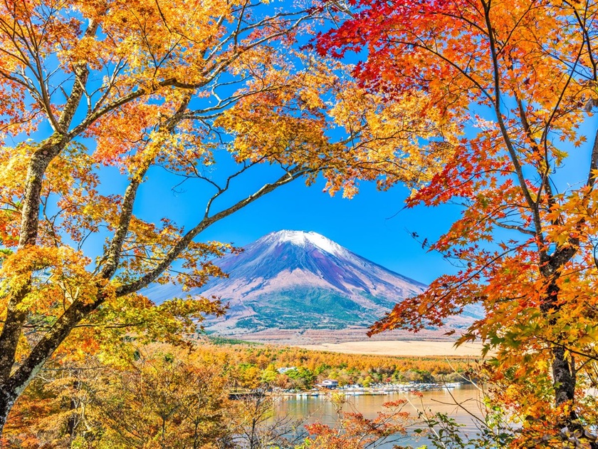 Experience Mt. Fuji during vibrant autumn