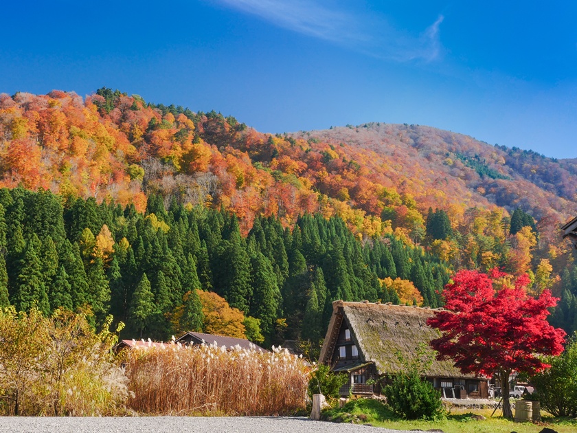 Japan_Gifu_Shirakawa-go_Aautumn_Fall_shutterstock_752408743