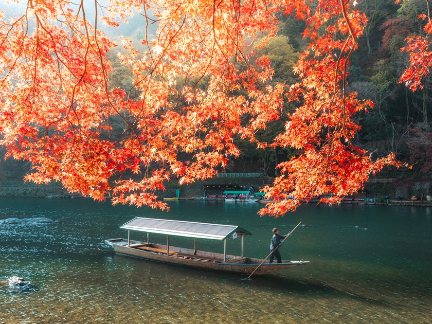 Autumn colors along Katsura river, Kyoto, Kyoto prefecture, Kansai region, Japan.