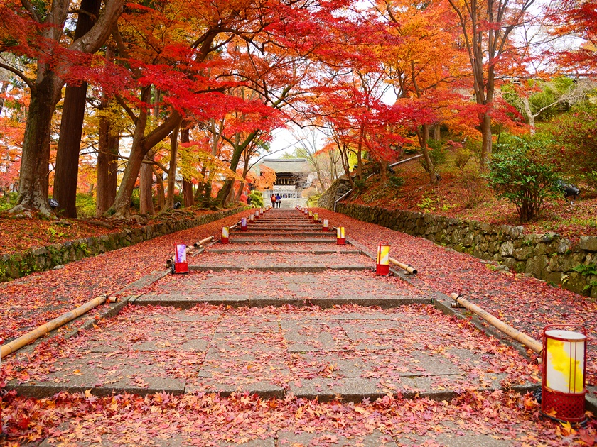 Japan_Kyoto_Bishamondo Temple_Entrance_Autumn_shutterstock_239033587