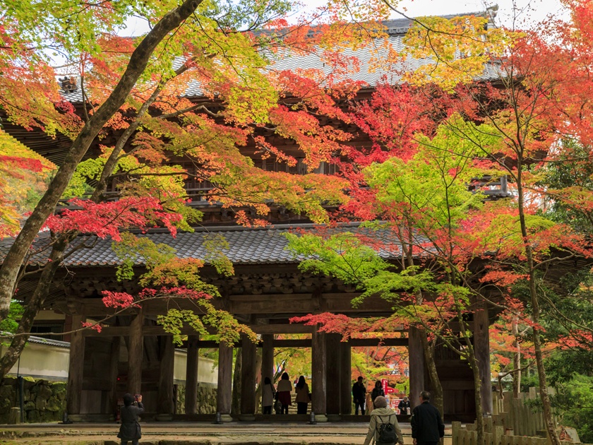 Japan_Kyoto_Eigenji_Autumn_PIXTA_45471958
