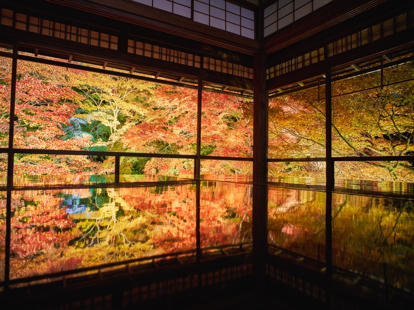 Japan_Kyoto_Rurikoin Temple_Autumn_shutterstock_1402684655