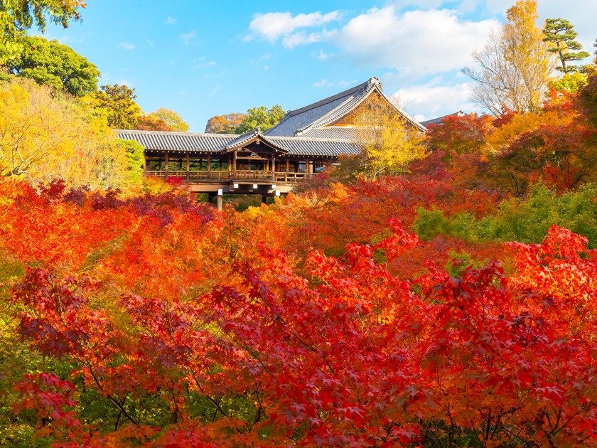 Japan_Kyoto_Tofukuji Temple_pixta_14976072