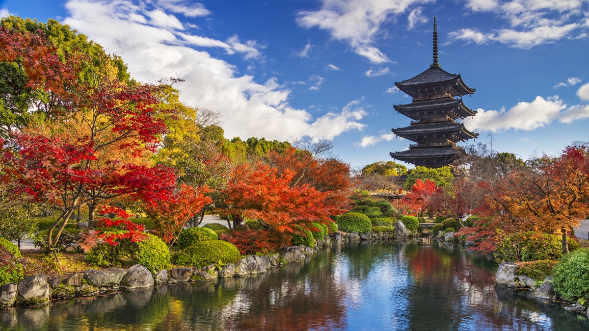 Japan_Kyoto_Toji Temple_Autumn_shutterstock_168163916