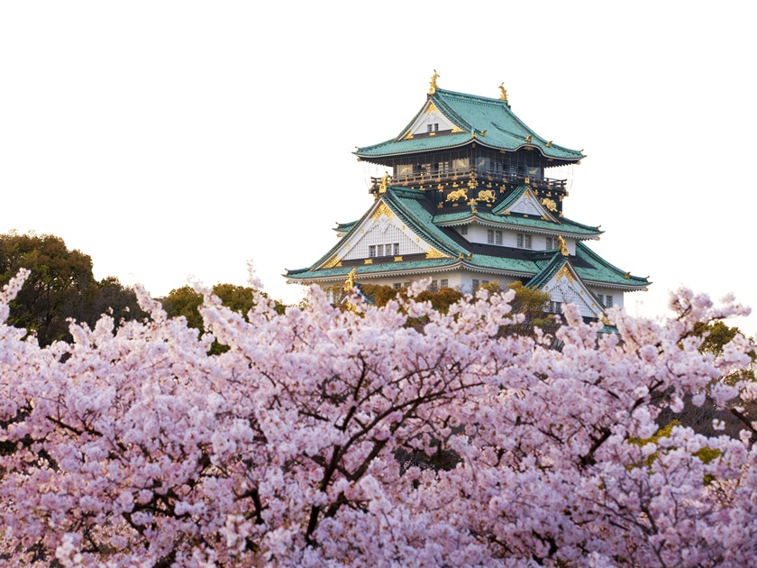 Japan_Osaka_Osaka Castle_Spring_Sakura_Cherry Blossoms_shutterstock_677489953