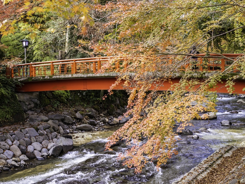 Japan_Shizuoka_Shuzenji_pixta_61201750_M